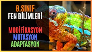 8SINIF  FEN BİLİMLERİ  MODİFİKASYON MUTASYON ADAPTASYON lgs [upl. by Base]