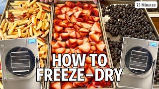 The Ultimate FreezeDrying FRUIT Collection  1 Hour of HowTo Videos [upl. by Asilak]