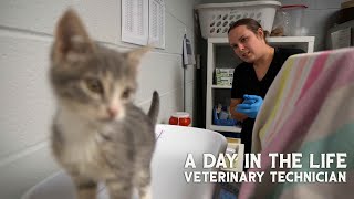 A Day In Life  Veterinary Technician [upl. by Guglielma944]