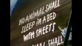 La fattoria degli animali film completo 1957 George Orwell [upl. by Shepard]