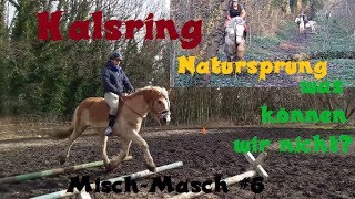 Halsring NATURSPRUNG was können wir nicht   MischMasch 6 [upl. by Melina]