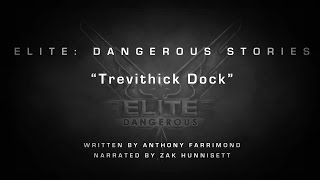 Elite Dangerous Stories  Trevithick Dock [upl. by Enileuqkcaj593]