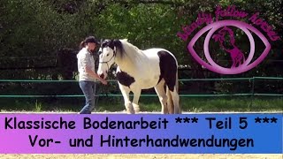 Klassische Bodenarbeit  Teil 5  Vor und Hinterhandwendungen [upl. by Ydurt]