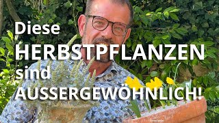 Diese AUSSERGEWÖHNLICHEN Pflanzen braucht du im HERBST [upl. by Arola]