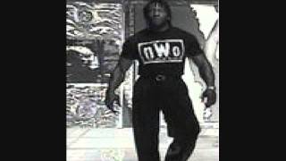 Booker T nWo Theme [upl. by Naillimixam]