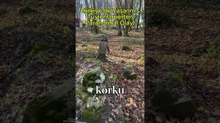 Bu Mezarlık Ünlü Korku Filmlerine İlham Verdi paranormalolaylar korkunçbilgiler hikayesaati [upl. by Ahsinaw]