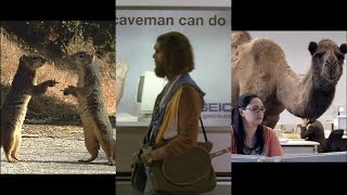 Memorable GEICO Commercials  Compilation [upl. by Sofia774]