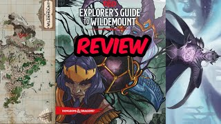 DampD  Explorers Guide to Wildemount  Review [upl. by Pentheas]