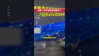 四川成都 ，成都一海洋館鯨鯊被曝死亡，相關部門回應：確于11號死亡，已進行病理檢查，需等3周才能出結果（來源：越牛視頻） [upl. by Lancelle]