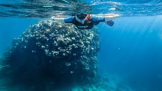 Discover Dahabs Hidden Freediving Paradises [upl. by Malinda315]