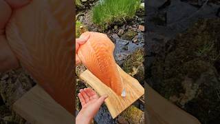 Youve never seen SALMON cooked like thisasmr cookingoutdoor food outdoorcooking salmon [upl. by Schiro12]