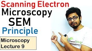 Scanning electron microscope principle working SEM [upl. by Atwekk676]