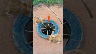 Survival Skills Simple But Very Useful with rabbit deep hole trap shorts survival outdoors [upl. by Eirallam307]