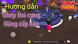 HƯỚNG DẪN GHÉP THÚ CƯNG ĐỂ NÂNG CẤP TRONG PLAY TOGETHER  Instructions pairing pets in Play Together [upl. by Enitsenre]