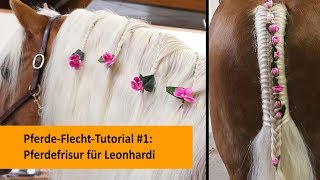 PferdeFlechtTutorial 1 Mähnen und Schweiffrisur für Leonhardi Mähne einflechten [upl. by Alphard]