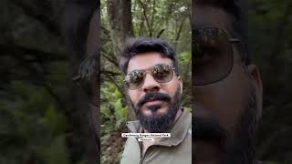 Dandenong Ranges National Park  dandenongranges travelvlog traveling travel melbourn [upl. by Ragnar]