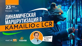 Динамическая маршрутизация в kamailio с LCR [upl. by Acihsay]