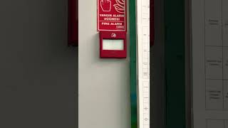 Fire alarm manual cool point has already been pressed😲😲😲😲 [upl. by Elitnahc]