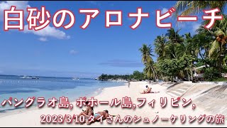 【76 タイさんのシュノーケリングの旅 】白砂のアロナビーチでシュノーケリング パングラオ島 ボホール島 フィリピン Tais Journey [upl. by Aserehc]