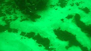 British bomber discovered in the Baltic sea [upl. by Ardnu]