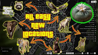 GTA V  All Easy Peyote Plants Location Guide in Story Mode XBOX PC PS4 PS5 [upl. by Hermione]