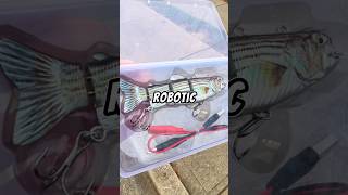 Fishing with a ROBOTIC LURE 🐟🎣 fishing fish bassfishing [upl. by Fondea]