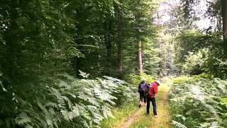 Rando en Forêt de Compiègne [upl. by Craggy]