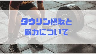 【運動している方必見！】タウリンの摂取により筋力維持できる？ [upl. by Raama409]