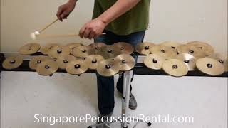 Zildjian Crotales 2 Octaves for Rental [upl. by Garett440]