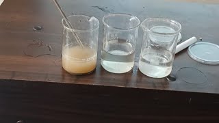 To find whether substance are soluble or insoluble in water 💧 🤔 [upl. by Fugere411]