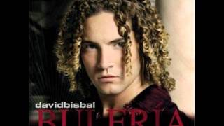 David Bisbal  Permítame señorawmv [upl. by Cecile339]