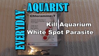 Cure Fish White Spot Ick with Chloramine T [upl. by Iden]