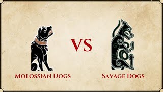 ROME II Total War  Molossian Dogs VS Savage Dogs [upl. by Seton]