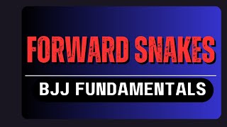 BJJ Fundamental Movements Forward Snakes [upl. by Kramal]