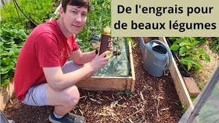 De lengrais pour de beaux légumes [upl. by Eitra]