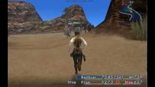 FFXII Immobilize Glitch [upl. by Ellenehc]