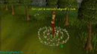 guide to runescape fairy rings [upl. by Nyladam775]