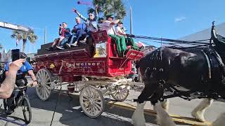 Budweiser Clydesdales Parade down Main St for Daytona Bike Week 2024 [upl. by Lamrej]