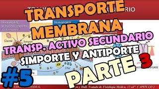 TRANSPORTE ACTIVO SECUNDARIO COTRANSPORTE simporte CONTRATRANSPORTE antiporte Pt 3 [upl. by Ohploda]