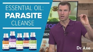 Parasite Cleanse The Best Essential Oils [upl. by Iek]