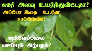 💥சுகர் அளவு உயர்ந்துவிட்டதா  benefits tamil curryleaves [upl. by Anelhtac]