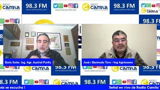 Conversando de Agricultura en RadioCamilaTV de LosAngelesCL [upl. by Anerol645]