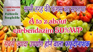 Carbendazim 50WP fungicide  कारबेंडाज़िम 50 डब्ल्यू पी फफूंदीनाशक  bagwanikibaat [upl. by Ahseiyn676]