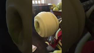 So Satisfying  Farberware Apple Peeler Slicer and Corer [upl. by Eidnas654]