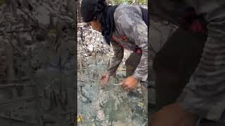 fishing foryou fyp net fish fishinglife viralshorts short [upl. by Kiyoshi]