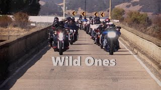 Wild Ones Waylon Jennings [upl. by Kemble]