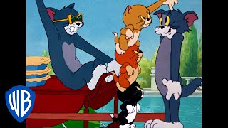 Tom et Jerry en Français  Classiques du dessin animé 103  WB Kids [upl. by Ilamad495]