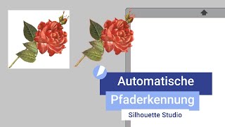 Silhouette Studio I Automatische Pfaderkennung PNG [upl. by Raamal]