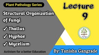 Fungal Cell  Structural Organisation of Fungi  Thallus  Hyphae  Mycelium by Tanisha Gangrade [upl. by Ahseital]