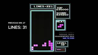 NEW DAS 29 Lines WORLD RECORD  NES Tetris [upl. by Aifoz]